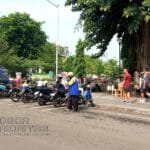 IMG_20241006_142448