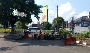 IMG_20251014_105854
